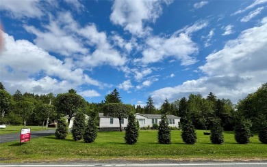 Lake Home Off Market in Parksville, New York