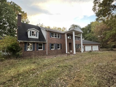 Lake Home For Sale in Mason, Michigan
