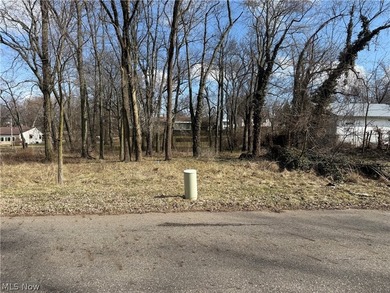 Lake Commercial For Sale in Massillon, Ohio