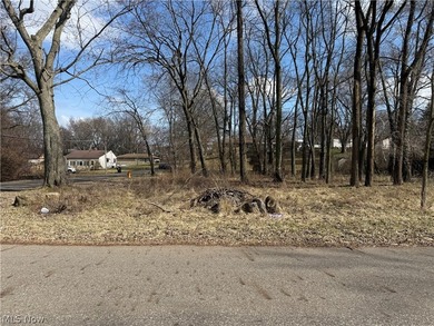 Lake Commercial For Sale in Massillon, Ohio