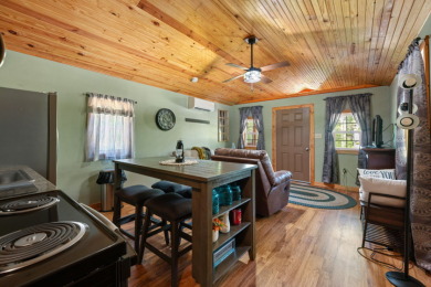 Unrestricted, Lakefront Tiny Home on 5.74 acres! - photo 10