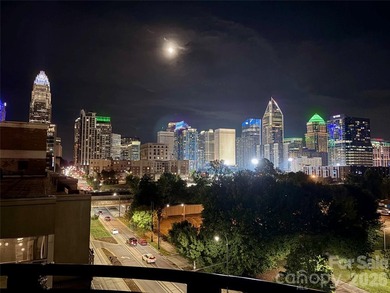 Uptown Charlotte corner penthouse living with the perfect blend - photo 1