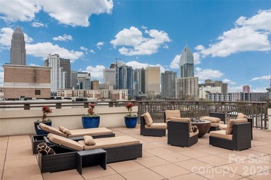 Uptown Charlotte corner penthouse living with the perfect blend - photo 4
