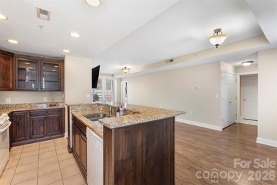 Uptown Charlotte corner penthouse living with the perfect blend - photo 9