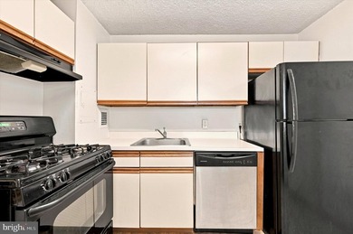 Welcome home to this bright 2 bedroom, 1 bath condo in Radnor - photo 11