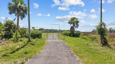 There's the Florida tourists know, and there's the Florida - photo 3