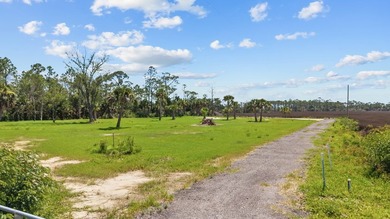 There's the Florida tourists know, and there's the Florida - photo 6