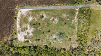 There's the Florida tourists know, and there's the Florida - photo 10