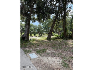 Discover the perfect setting for your custom home on this - photo 4