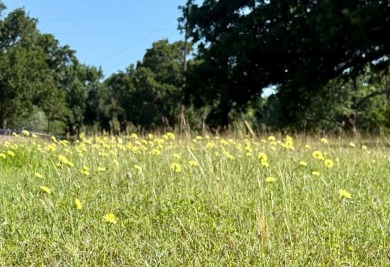 Corner Lot, 500 Road Frontage at RC Lake! - photo 26