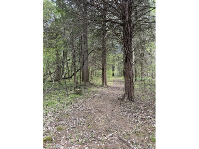 Unrestricted, Lakefront Tiny Home on 5.74 acres! - photo 20