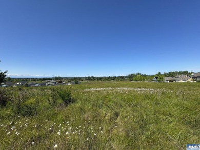 Seize this exceptional development opportunity with breathtaking - photo 7