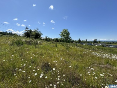 Seize this exceptional development opportunity with breathtaking - photo 8