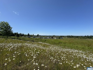 Seize this exceptional development opportunity with breathtaking - photo 9