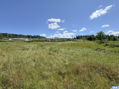 Seize this exceptional development opportunity with breathtaking - photo 10