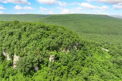 Attention Investors and Developers: Round Mountain Estates is - photo 12