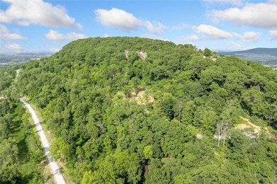 Attention Investors and Developers: Round Mountain Estates is - photo 18
