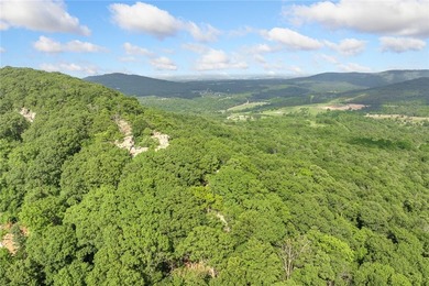 Attention Investors and Developers: Round Mountain Estates is - photo 19