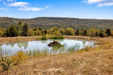 Attention Investors and Developers: Round Mountain Estates is - photo 21