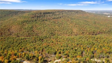 Attention Investors and Developers: Round Mountain Estates is - photo 24