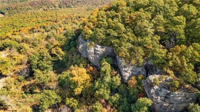Attention Investors and Developers: Round Mountain Estates is - photo 25