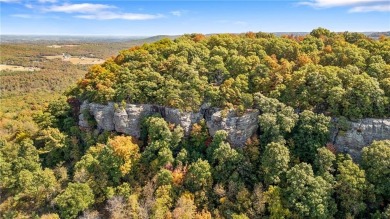 Attention Investors and Developers: Round Mountain Estates is - photo 27