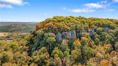 Attention Investors and Developers: Round Mountain Estates is - photo 30