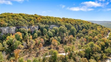 Attention Investors and Developers: Round Mountain Estates is - photo 31