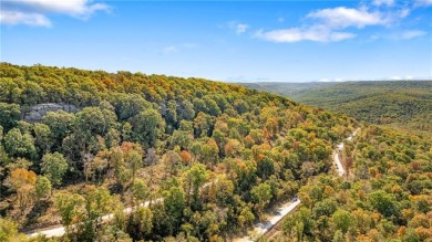 Attention Investors and Developers: Round Mountain Estates is - photo 32