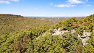 Attention Investors and Developers: Round Mountain Estates is - photo 33