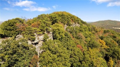 Attention Investors and Developers: Round Mountain Estates is - photo 34
