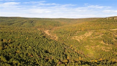 Attention Investors and Developers: Round Mountain Estates is - photo 37