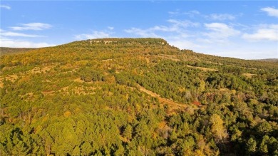 Attention Investors and Developers: Round Mountain Estates is - photo 38