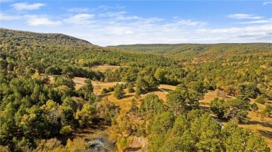 Attention Investors and Developers: Round Mountain Estates is - photo 41