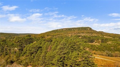 Attention Investors and Developers: Round Mountain Estates is - photo 42