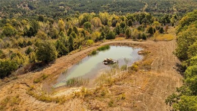 Attention Investors and Developers: Round Mountain Estates is - photo 44