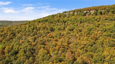 Attention Investors and Developers: Round Mountain Estates is - photo 46