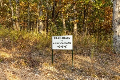 Attention Investors and Developers: Round Mountain Estates is - photo 48