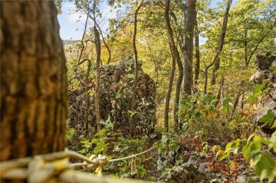 Attention Investors and Developers: Round Mountain Estates is - photo 49