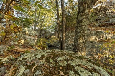 Attention Investors and Developers: Round Mountain Estates is - photo 51