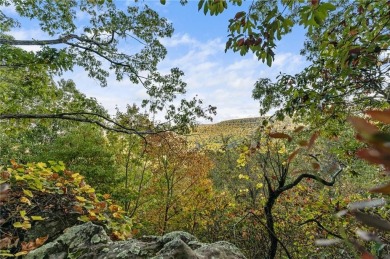 Attention Investors and Developers: Round Mountain Estates is - photo 54