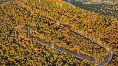 Attention Investors and Developers: Round Mountain Estates is - photo 57