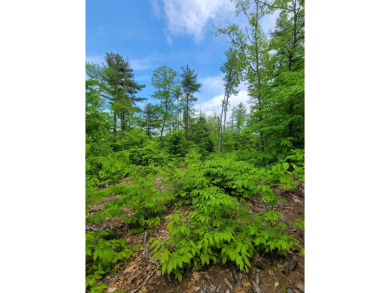 Long Pond - Oxford County Acreage For Sale in Denmark Maine