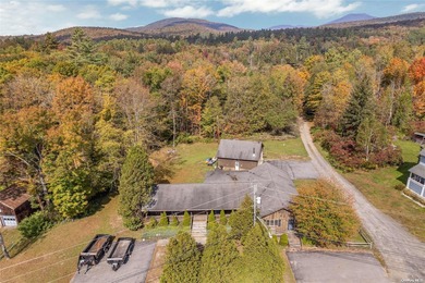 Harris Lake Commercial For Sale in Other New York
