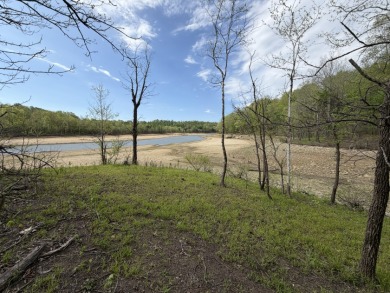 Unrestricted, Lakefront Tiny Home on 5.74 acres! - photo 19