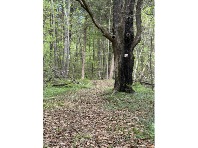 Unrestricted, Lakefront Tiny Home on 5.74 acres! - photo 21