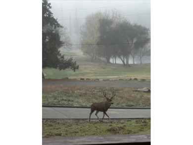 Golf Course Living at Its Finest — A Rare YLP Gem - photo 8