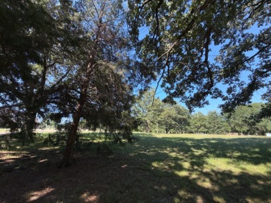 Corner Lot, 500 Road Frontage at RC Lake! - photo 5