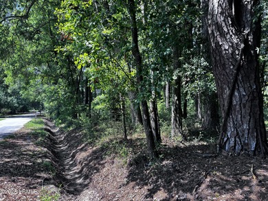 Beaufort River Lot For Sale in Beaufort South Carolina