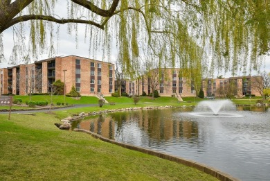 Lake Home Sale Pending in Mount Prospect, Illinois